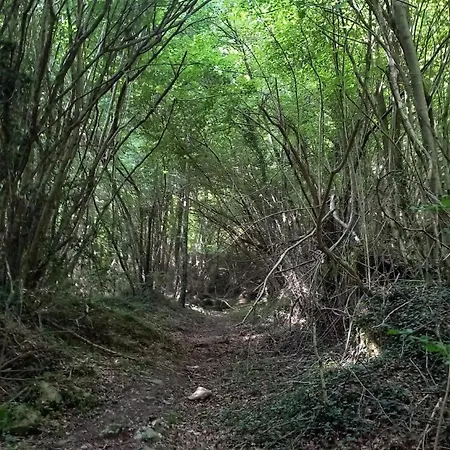 Paquei, , Vall D 'en Bas, Garrotxa *